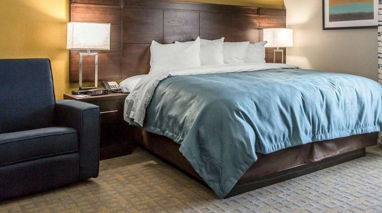 MainStay Suites Suite