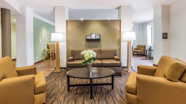 <b>Sleep Inn Dallas Lobby</b>. Images powered by <a href="https://iceportal.shijigroup.com/" title="IcePortal" target="_blank">IcePortal</a>.