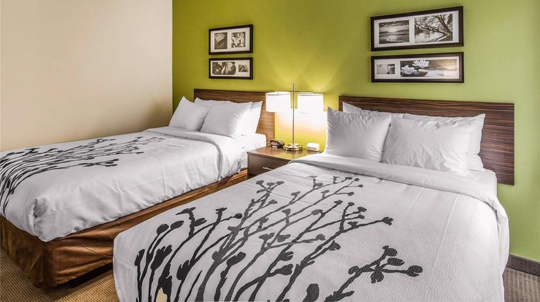 <b>Sleep Inn Dallas Room</b>. Images powered by <a href="https://iceportal.shijigroup.com/" title="IcePortal" target="_blank">IcePortal</a>.
