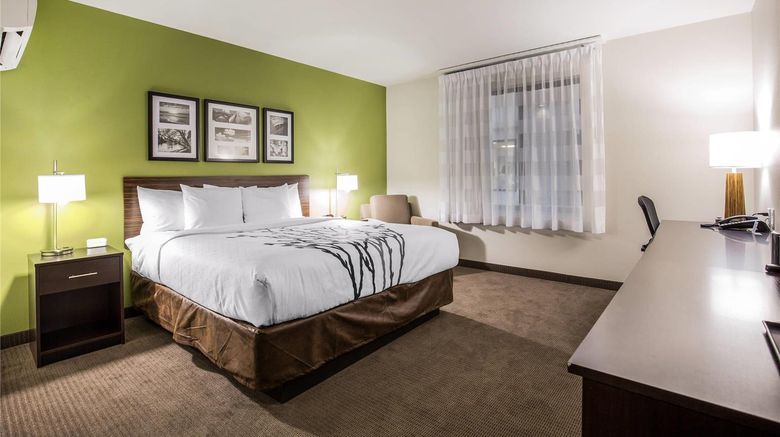 <b>Sleep Inn Dallas Room</b>. Images powered by <a href="https://iceportal.shijigroup.com/" title="IcePortal" target="_blank">IcePortal</a>.