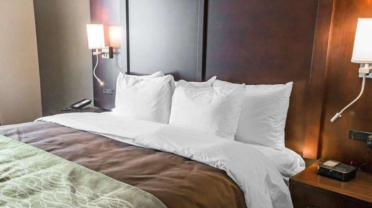 Comfort Inn & Suites, Pharr Suite
