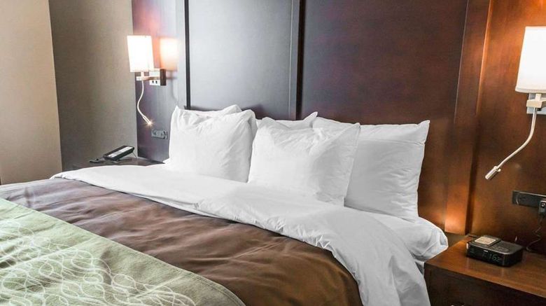 <b>Comfort Inn & Suites, Pharr Suite</b>. Images powered by <a href="https://iceportal.shijigroup.com/" title="IcePortal" target="_blank">IcePortal</a>.