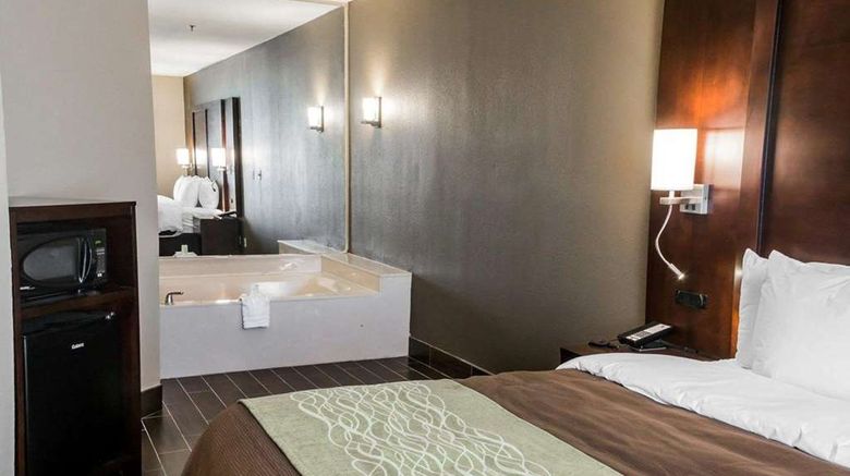 <b>Comfort Inn & Suites, Pharr Room</b>. Images powered by <a href="https://iceportal.shijigroup.com/" title="IcePortal" target="_blank">IcePortal</a>.