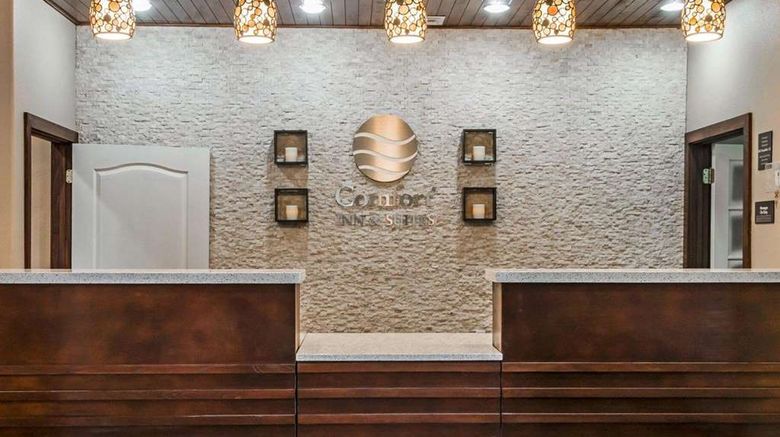 <b>Comfort Inn & Suites, Pharr Lobby</b>. Images powered by <a href="https://iceportal.shijigroup.com/" title="IcePortal" target="_blank">IcePortal</a>.