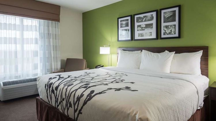Sleep Inn & Suites Ingleside Room
