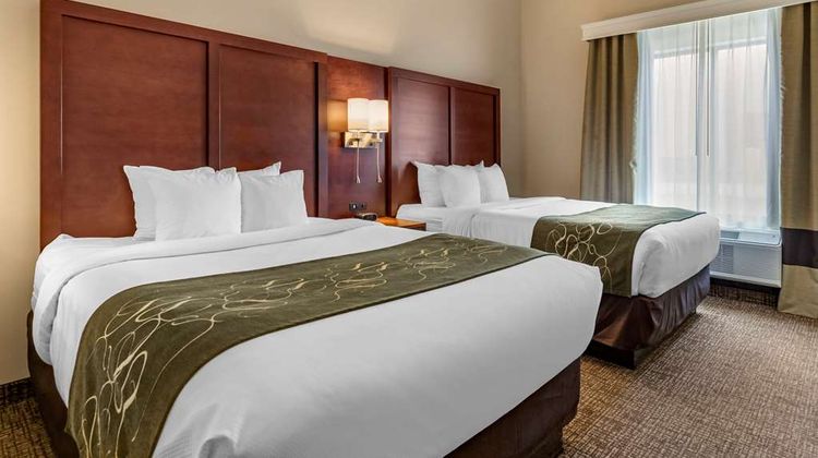 Comfort Suites Kyle Suite