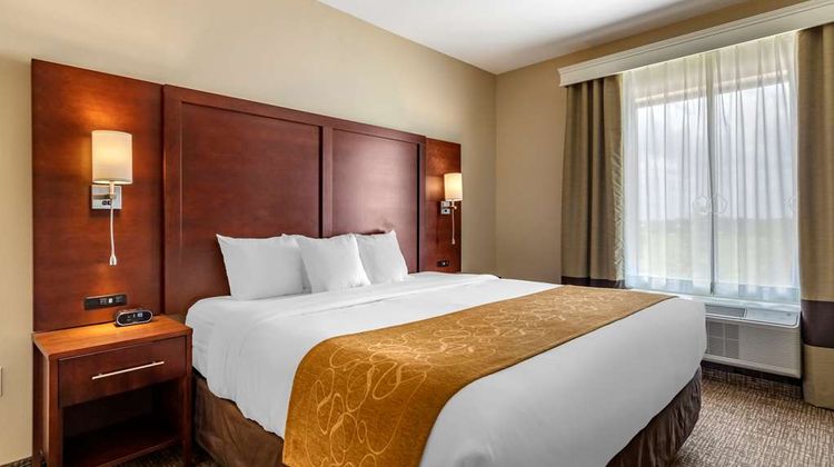 Comfort Suites Kyle Suite