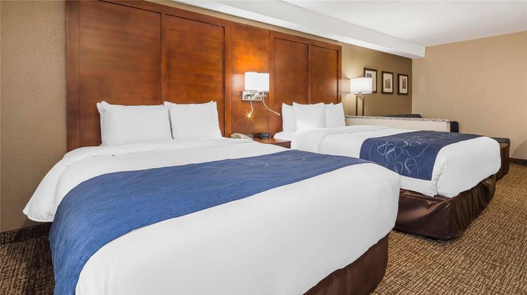 Comfort Suites El Paso Airport Room