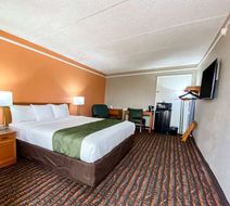 Quality Inn Harlingen Room