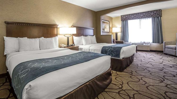 Comfort Suites Airport Suite