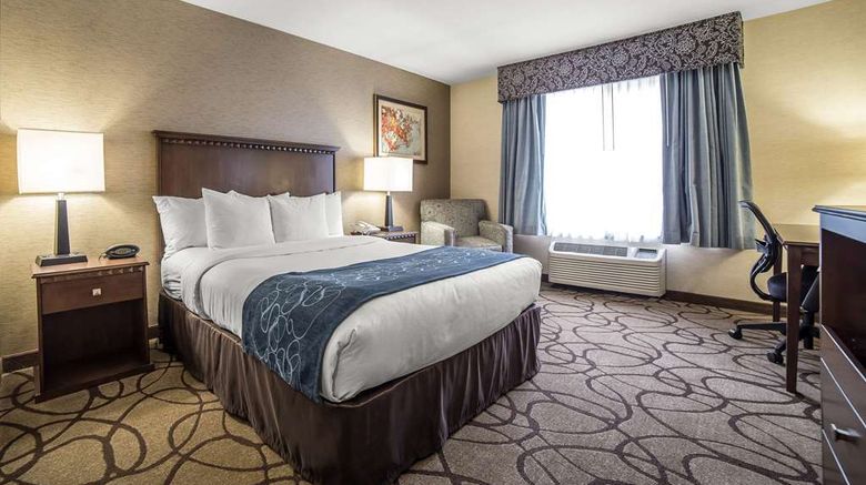 <b>Comfort Suites Airport Room</b>. Images powered by <a href="https://iceportal.shijigroup.com/" title="IcePortal" target="_blank">IcePortal</a>.