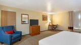 Comfort Inn Room