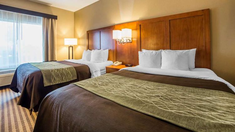 Comfort Inn & Suites Room