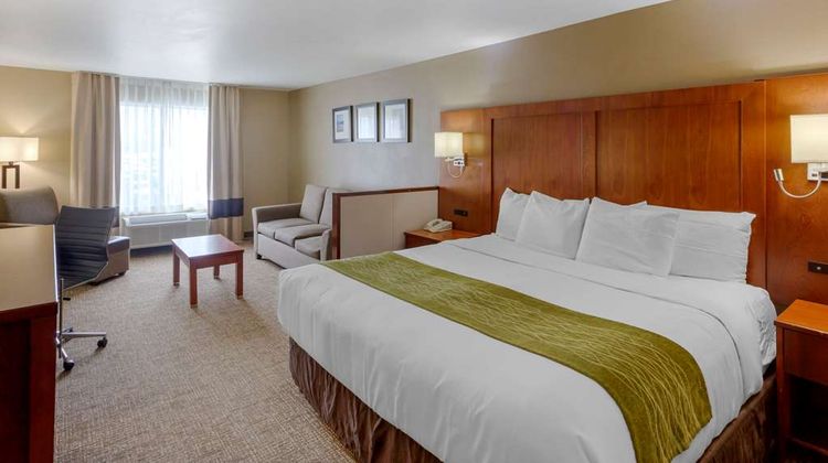 Comfort Inn & Suites Suite