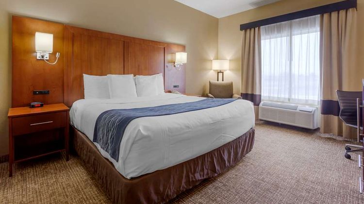 Comfort Inn & Suites Room