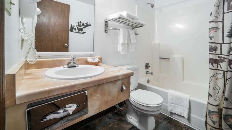 <b>Rodeway Inn Room</b>. Images powered by <a href="https://iceportal.shijigroup.com/" title="IcePortal" target="_blank">IcePortal</a>.