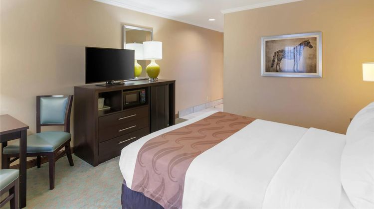 Quality Inn Room