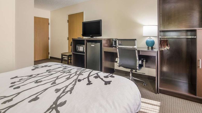 <b>Sleep Inn Room</b>. Images powered by <a href="https://iceportal.shijigroup.com/" title="IcePortal" target="_blank">IcePortal</a>.