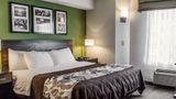<b>Sleep Inn Room</b>. Images powered by <a href="https://iceportal.shijigroup.com/" title="IcePortal" target="_blank">IcePortal</a>.