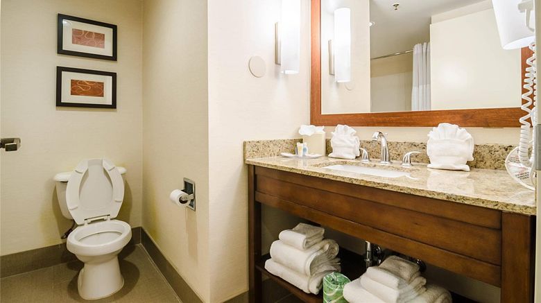 <b>Comfort Suites Innsbrook Room</b>. Images powered by <a href="https://iceportal.shijigroup.com/" title="IcePortal" target="_blank">IcePortal</a>.