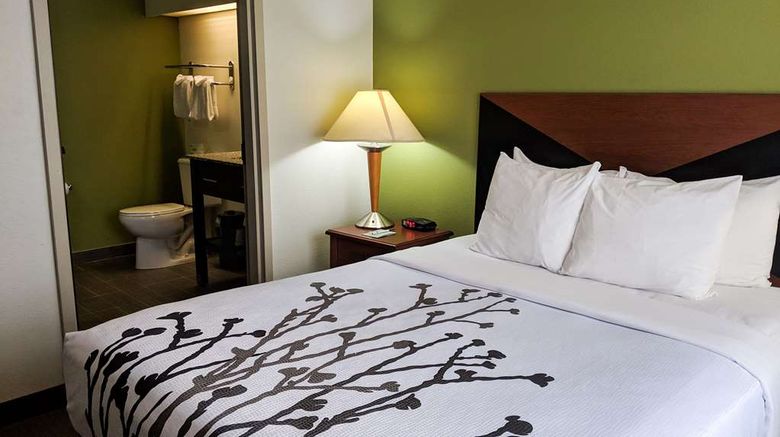 <b>Sleep Inn Room</b>. Images powered by <a href="https://iceportal.shijigroup.com/" title="IcePortal" target="_blank">IcePortal</a>.