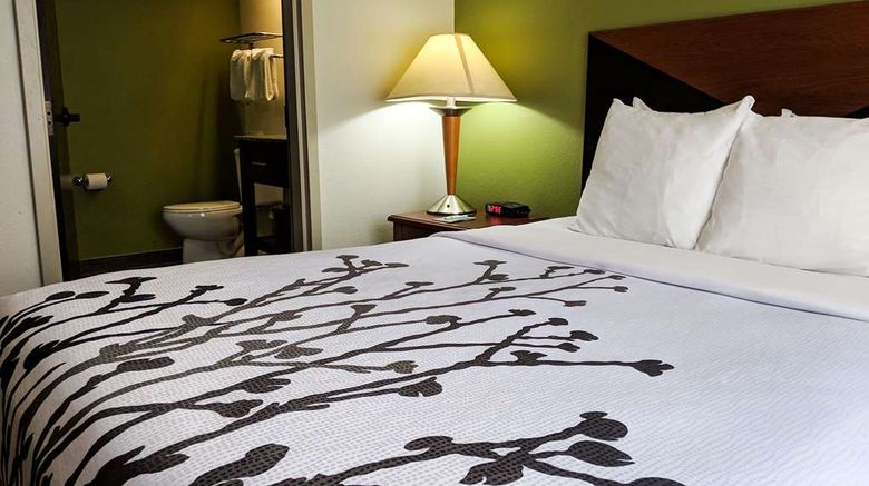 <b>Sleep Inn Room</b>. Images powered by <a href="https://iceportal.shijigroup.com/" title="IcePortal" target="_blank">IcePortal</a>.