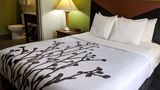 <b>Sleep Inn Room</b>. Images powered by <a href="https://iceportal.shijigroup.com/" title="IcePortal" target="_blank">IcePortal</a>.