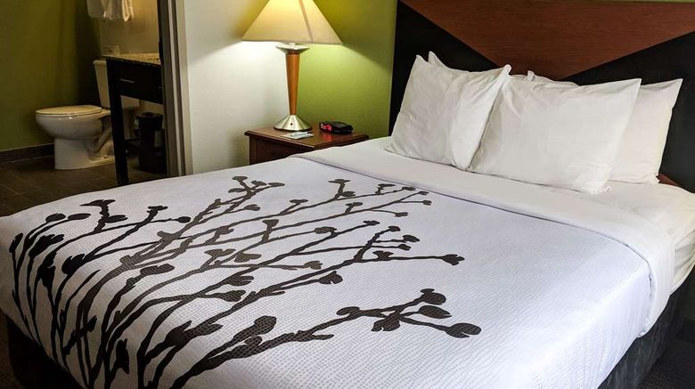 <b>Sleep Inn Room</b>. Images powered by <a href="https://iceportal.shijigroup.com/" title="IcePortal" target="_blank">IcePortal</a>.