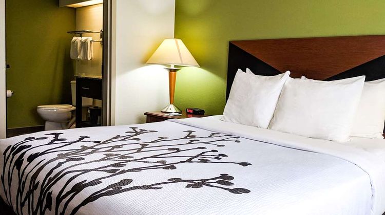 Sleep Inn Room