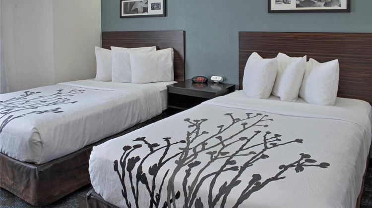 Sleep Inn Lake Wright-Norfolk Room