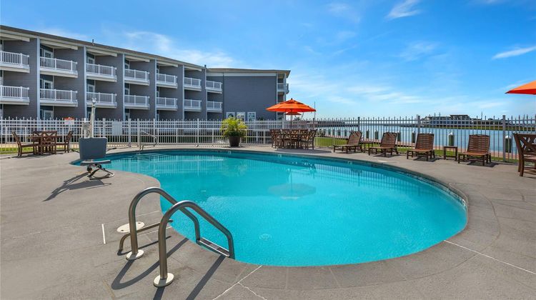 Comfort Suites Pool