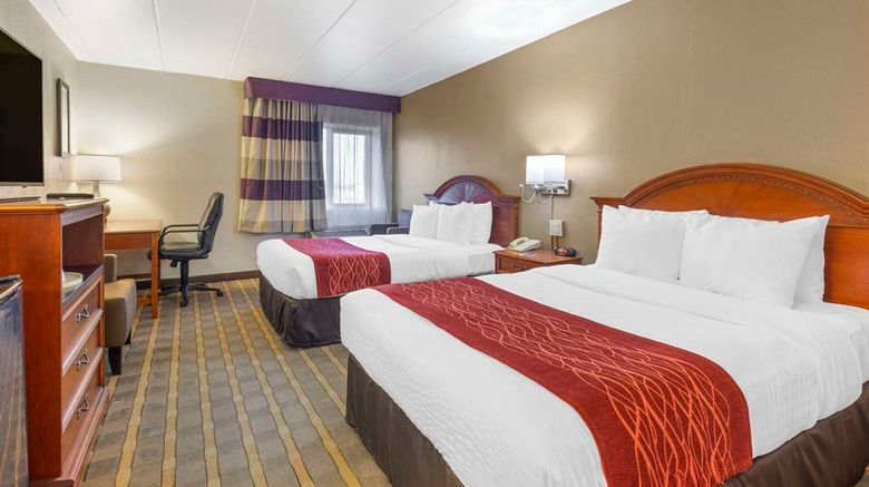 <b>Comfort Inn University Center Room</b>. Images powered by <a href="https://iceportal.shijigroup.com/" title="IcePortal" target="_blank">IcePortal</a>.