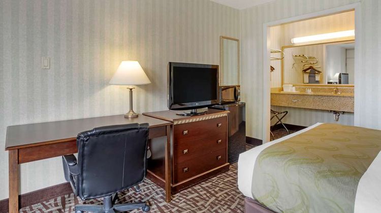 Quality Inn Room