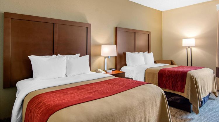Comfort Inn Room