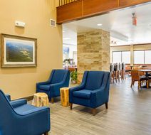Comfort Inn Shenandoah Lobby