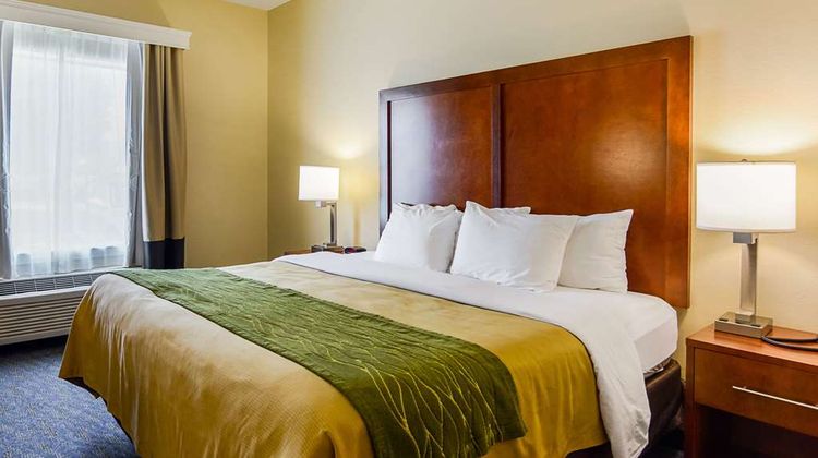 Comfort Inn Shenandoah Suite