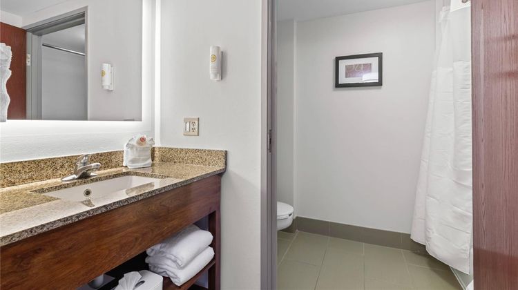 Comfort Suites Manassas Room