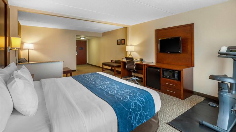 Comfort Suites Manassas Room