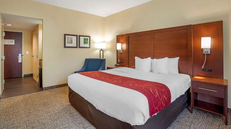 Comfort Suites Room