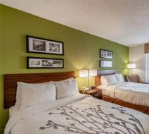 Sleep Inn & Suites Room