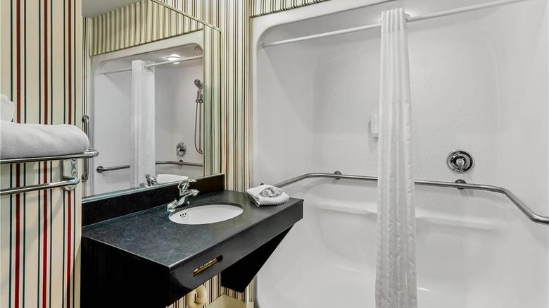 <b>MainStay Suites Roanoke Airport Room</b>. Images powered by <a href="https://iceportal.shijigroup.com/" title="IcePortal" target="_blank">IcePortal</a>.