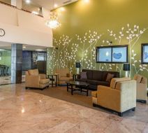 Sleep Inn & Suites Lobby