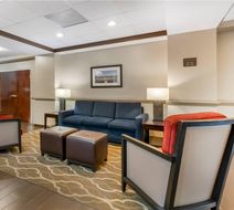 Comfort Inn & Suites Lobby