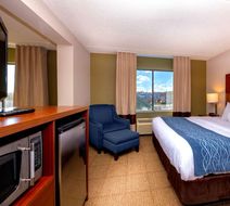 Comfort Inn Room