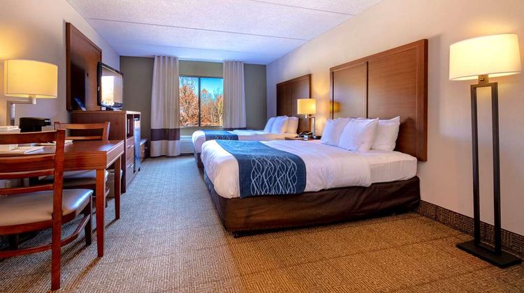 Comfort Inn Room