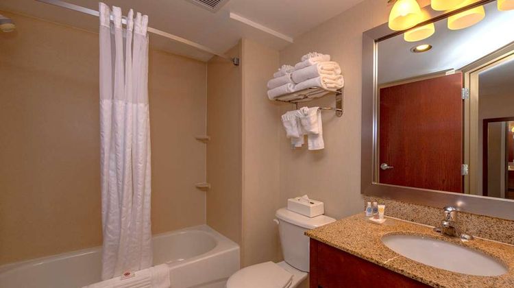 Comfort Inn Room