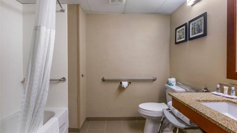 <b>Comfort Inn & Suites Room</b>. Images powered by <a href="https://iceportal.shijigroup.com/" title="IcePortal" target="_blank">IcePortal</a>.