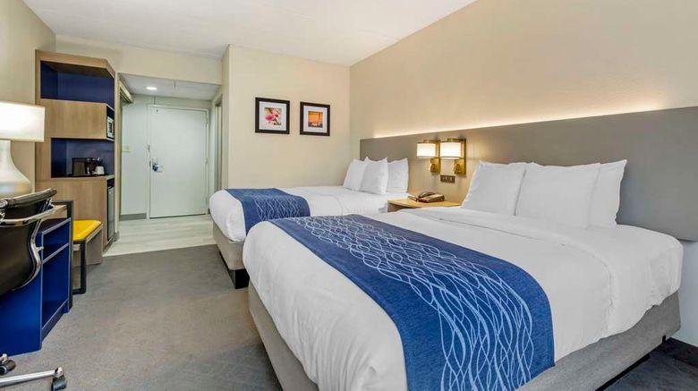 <b>Comfort Inn Herndon-Reston Room</b>. Images powered by <a href="https://iceportal.shijigroup.com/" title="IcePortal" target="_blank">IcePortal</a>.