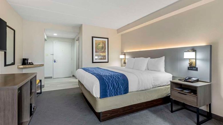 <b>Comfort Inn Herndon-Reston Room</b>. Images powered by <a href="https://iceportal.shijigroup.com/" title="IcePortal" target="_blank">IcePortal</a>.