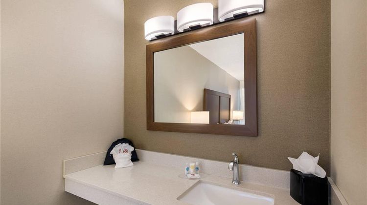 Comfort Inn Virginia Horse Center Room
